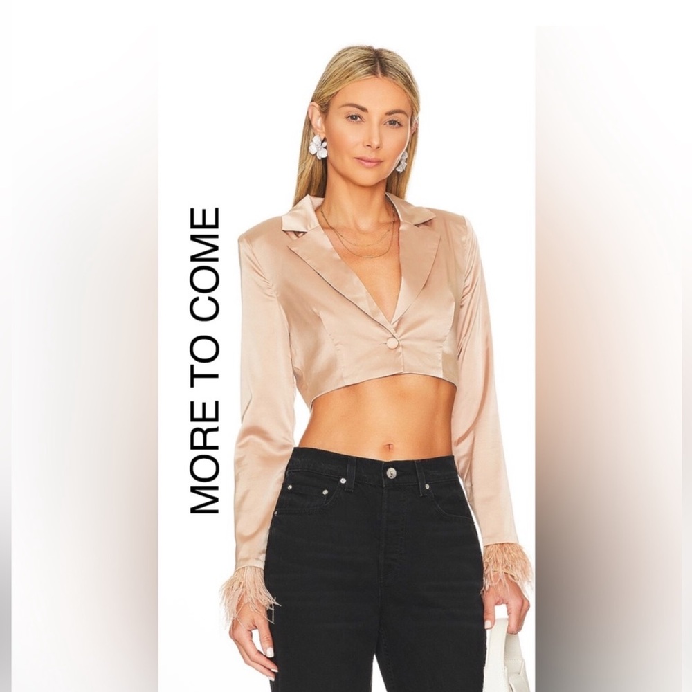 REVOLVE Elegant Satin Crop Top with Feathered Cuffs